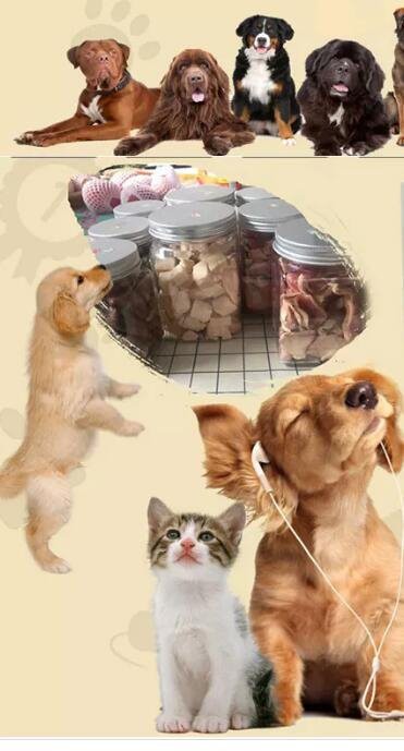Pet Dog Cat Food Вакуумный лиофилизатор Лиофилизатор Сублимационная сушилка — изображение 3